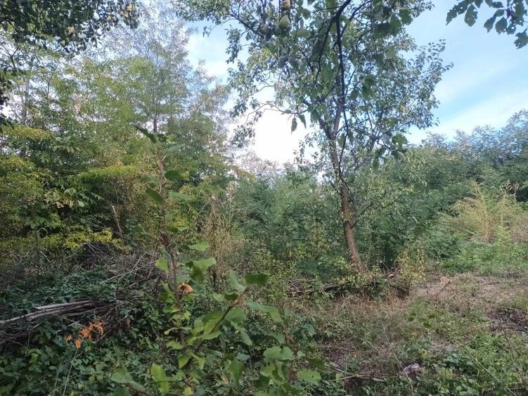 Teren 1130 mp Satul Malu Mierii, comuna Glodeni, Dambovita - 4