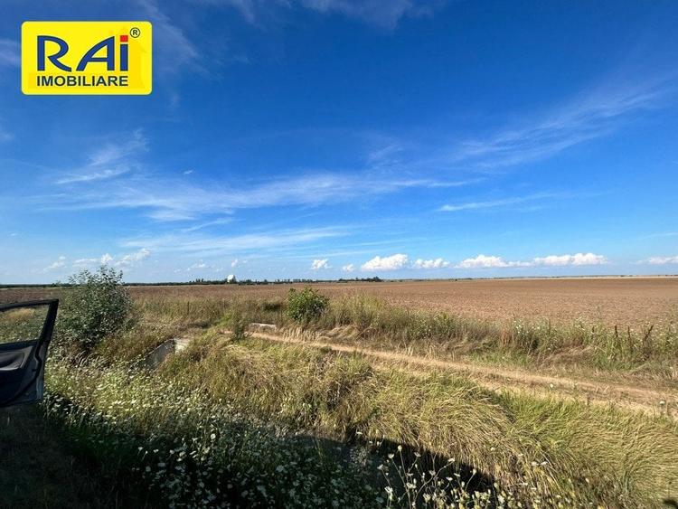 Terenuri cu deschidere 20m la Centura in suprafata  de 5950 mp si 6481 mp - 6