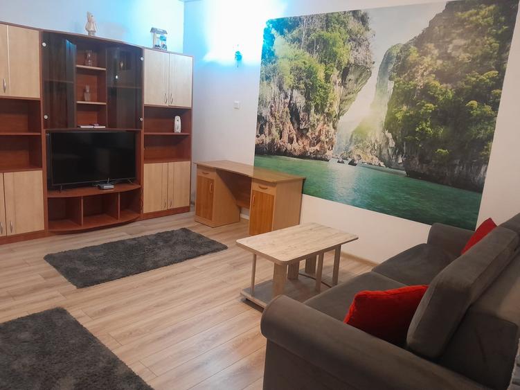 Garsoniera la casa - 35 mp - zona Coiciu - 350 euro/luna (Cod E2+E7) - 1