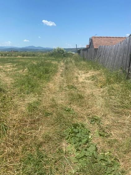 Teren Rasnov 1935 mp - 2