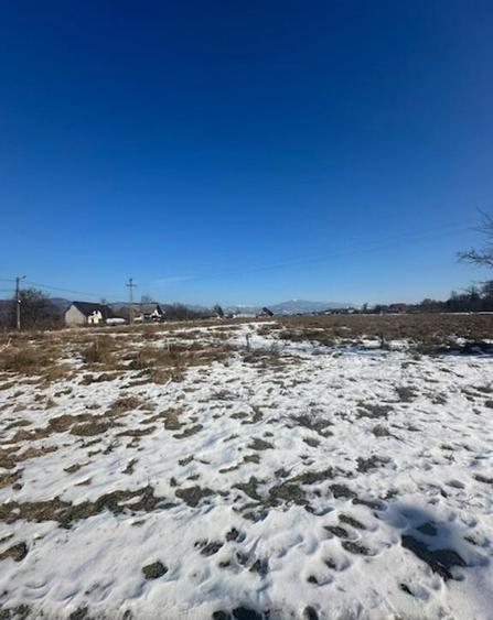 OPORTUNITATE pt Dezvoltatori de case zona Penitenciar ! - 10