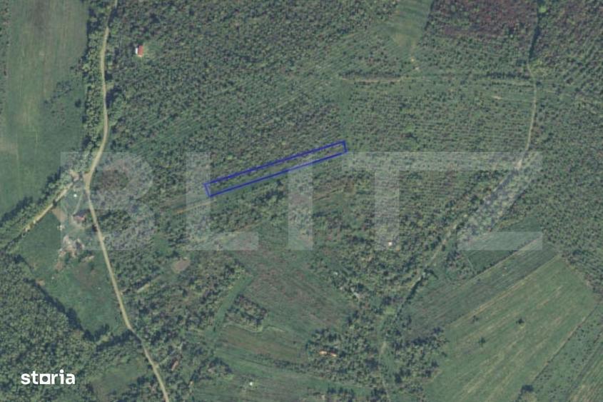 Teren intravilan de vanzare, 2697 mp, in Ardud Vii - 1