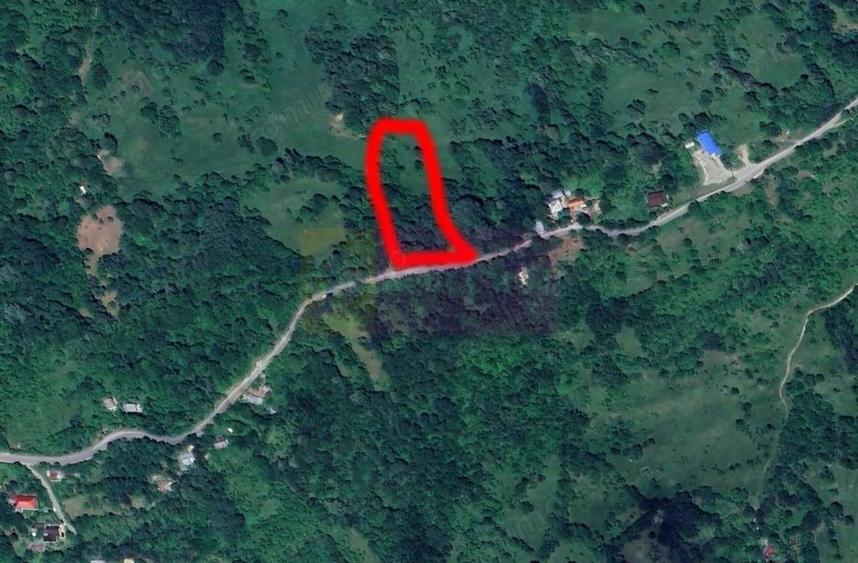 Teren intravilan de vanzare in Telega - 8