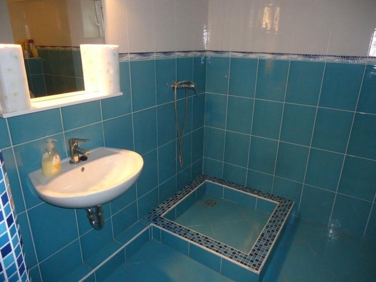 Inchiriere casa pentru locuit/birouri, zona Budiului - 11