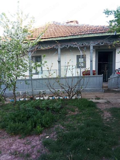 Vand casa batraneasca + teren generos 1700 mp | Malul Ro?u, comuna Arma?e?ti, jud. Ialomi?a - 4