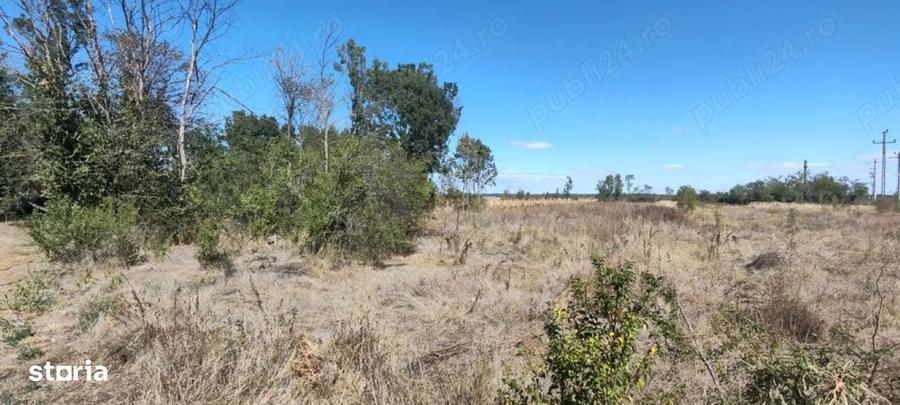 Teren intravilan 2.441 mp ideal casa / solar / fotovoltaice - 1