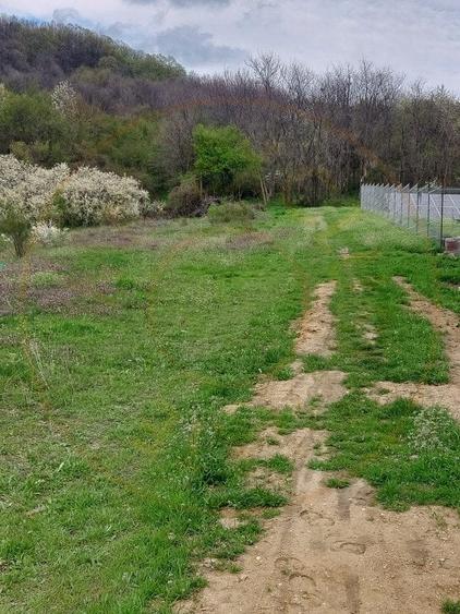 Teren Topoloveni - 3670 mp - langa padure, aproape de Centrul orasului - 4