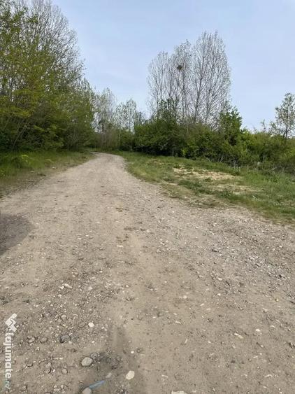 Teren intravilan -KM 7, Resita 5265mp - 6