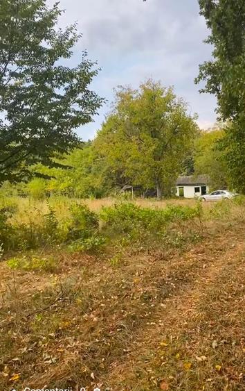 Teren de vanzare zona de munte - 3