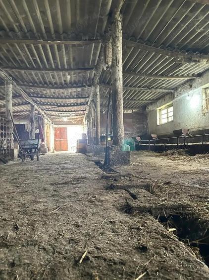 Depozit Grajd incomuna Tulca - 5