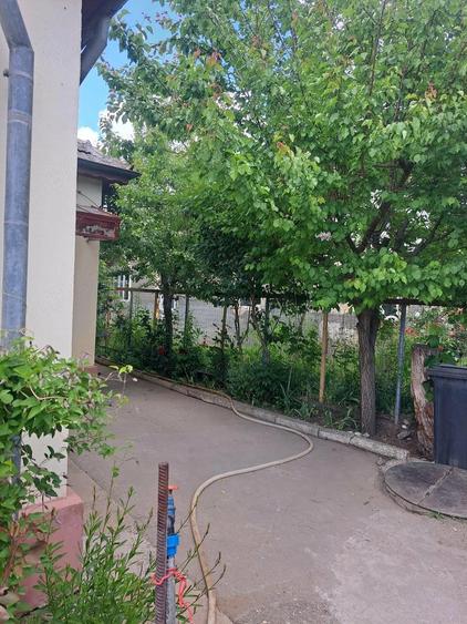 vand casa corabia - 1