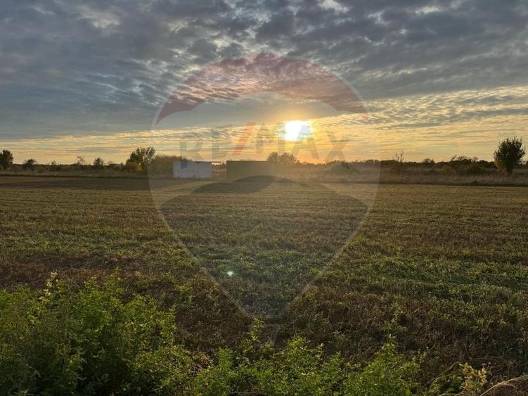 Teren 438mp in Bujac-Arad - 2