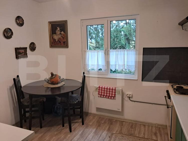 Cabana de vanzare in Marisel - 7