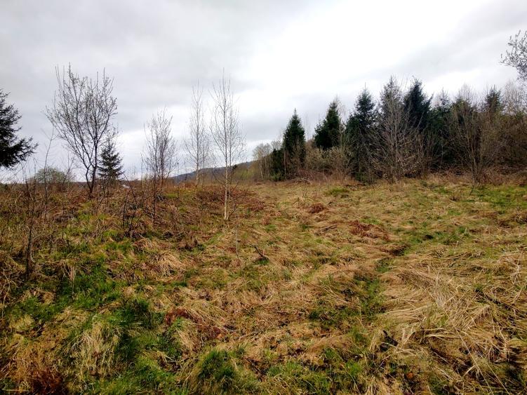 Teren Superb la Munte, Drăguș (BV) – Țara Făgărașului, zonă turistică, cu pârău - 10