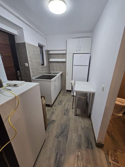 Garsonieră renovată, mobilată modern la casa Zona Timocului - 3