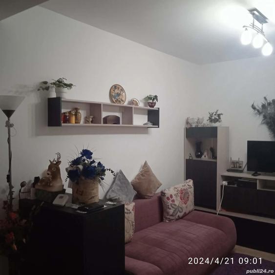 Studio cu gradina zona Aparatorii patriei - 4
