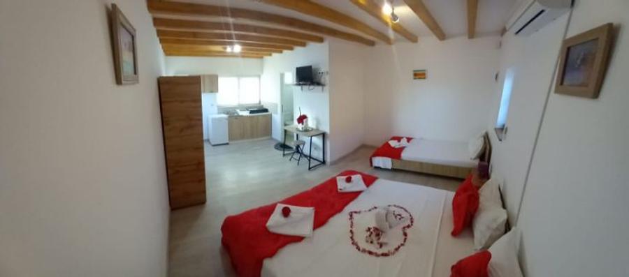 Vila cu piscină și Pensiune turistica  - 8