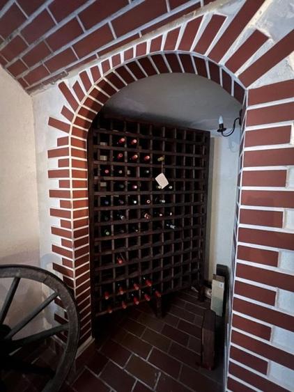 Vila de vis cu parc privat  — Panoramă Unică Spre Crucea Caraiman, - 15