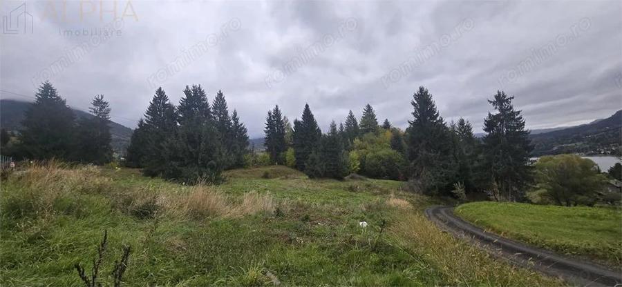 TEREN DE VANZARE COLIBITA _4600 EUR AR - 3