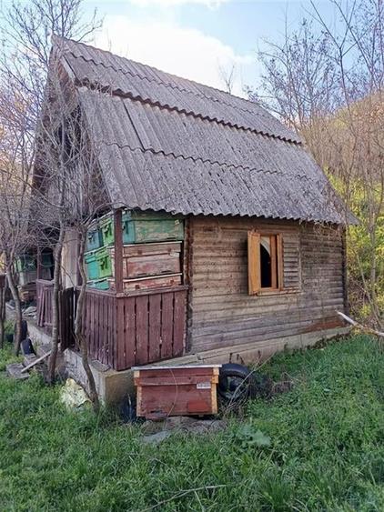 RECO TEREN GENEROS CU CABANA - 2