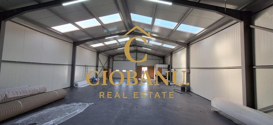 Hala de vanzare in Racarii de Jos - 12