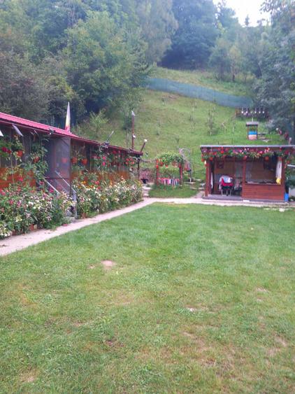 Casuta de vacanta cu teren in Valea Doftanei - 4