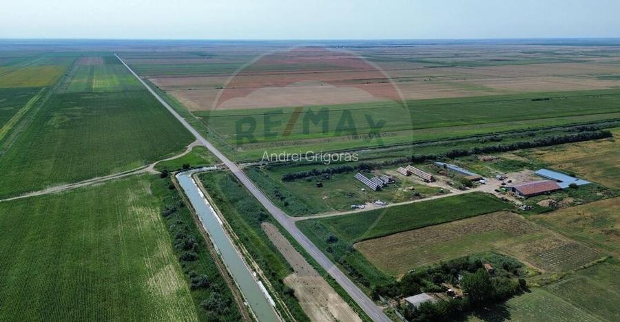 Ferma vegetala 148 ha ?i sediu ferma Maicanesti ! Ferma vegetala 148 ha ?i sediu ferma Maicanesti !