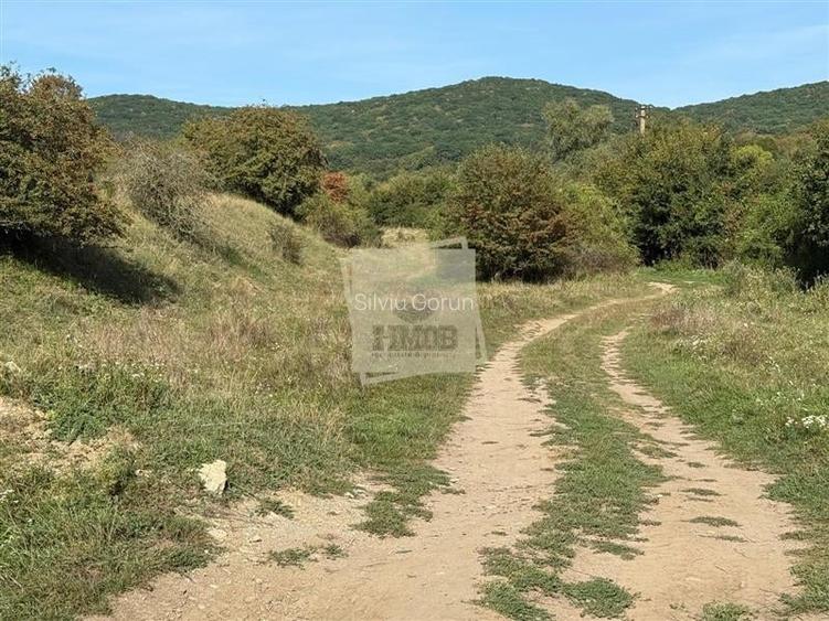 Teren extravilan 40.000 mp sau 80.000 mp in Gusterita