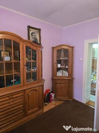 Casa plus anexa parter, Tamaseu central, gaz, sosea , ter 3040 mp - 4