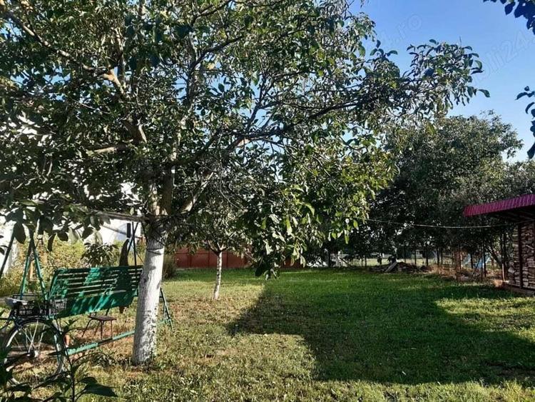 Casa Beregsau Mic caramida strada principala ,teren mare - 9