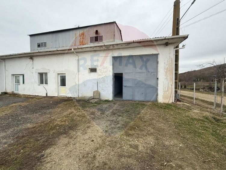 Moara Spatiu Industrial - 11