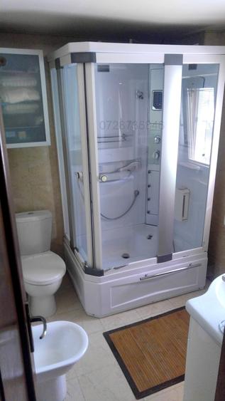 Piata Alba Iulia - Unirii, adiacent, apartament in vila - 11