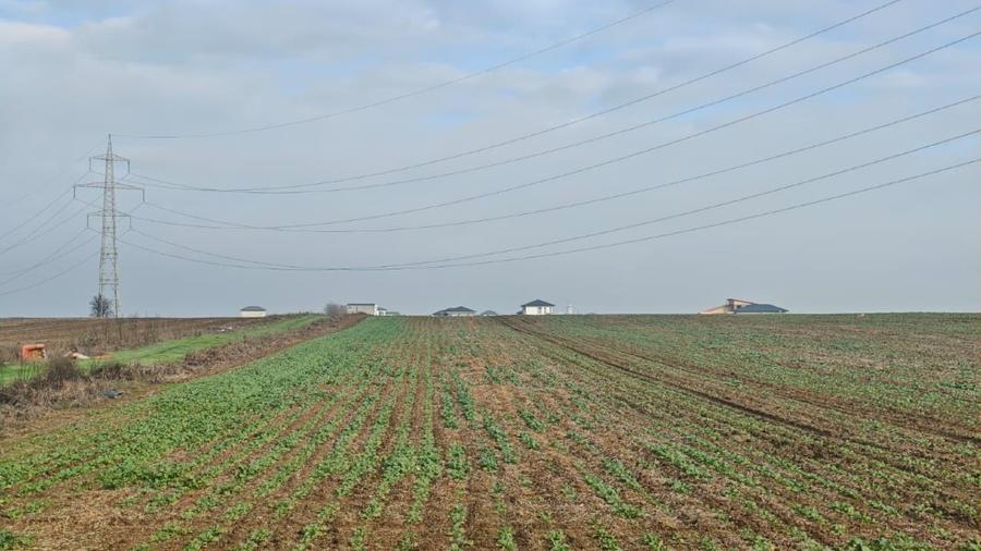 Teren construibil  extravilan , 37000 mp -com Vidra / iesire Berceni, Ilfov - 1