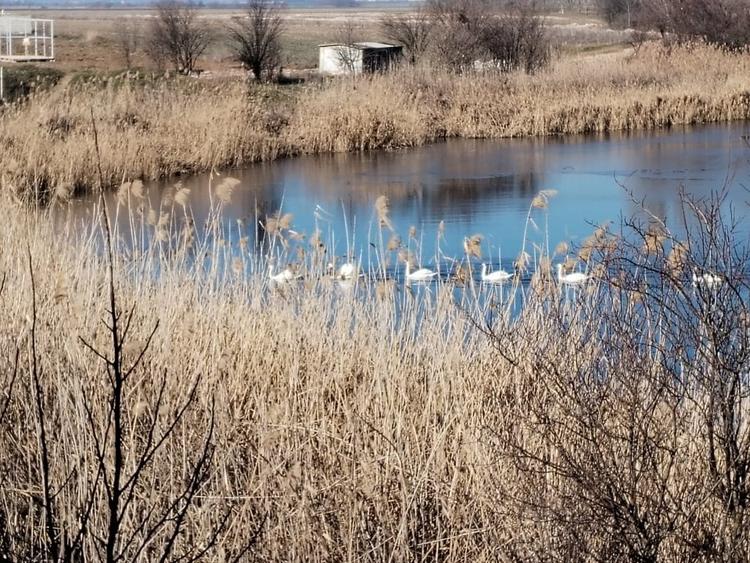 Teren intravilan 609 mp Vidra, deschidere 24 m, ideal pentru construcție - 5