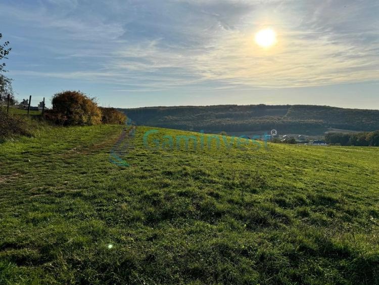 Teren de vanzare in Betfia, 5487 mp intravilan, Bihor - 7