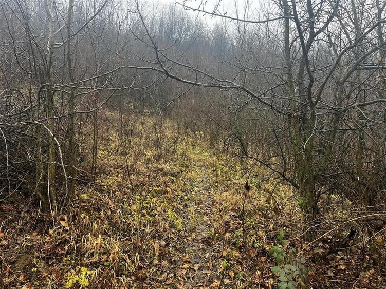 Teren intravilan 653 mp in Boldesti-Scaeni. - 9