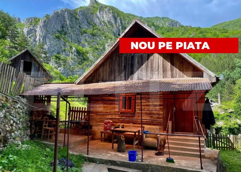 Casa de vacanta,3300 mp teren,Intregalde Casa de vacanta,3300 mp teren,Intregalde