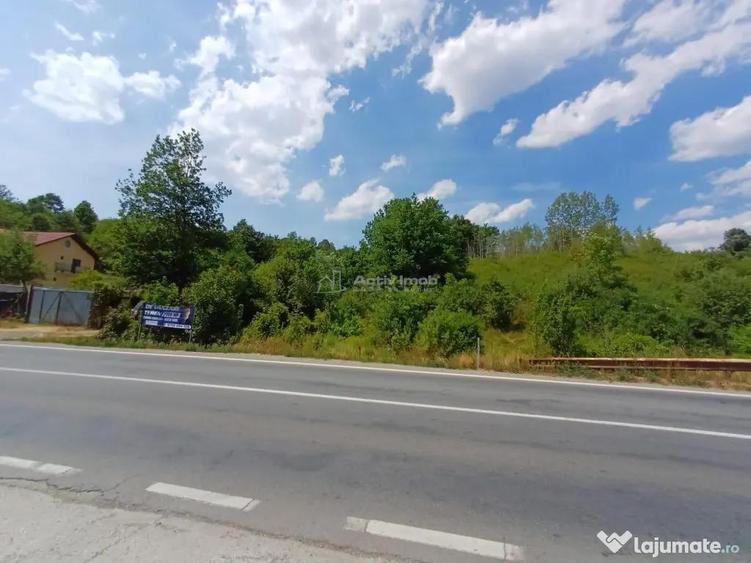 Resita, Terenuri Intravilane 2000 Mp., 20 Euro/Mp., Calea Ca - 13