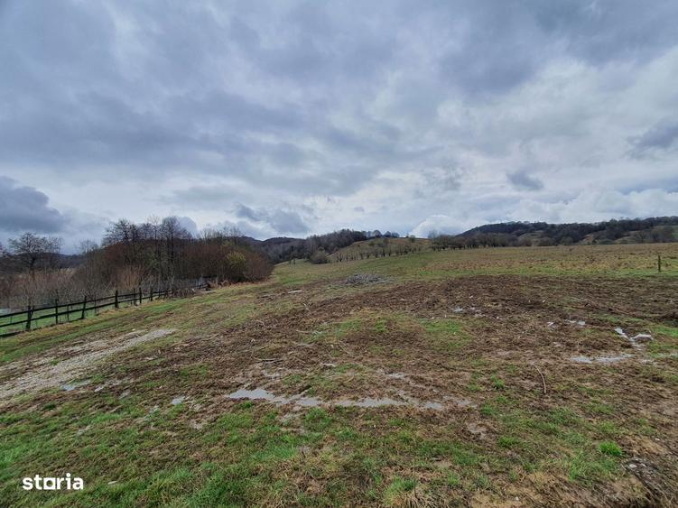 Teren Rasnov spre Predeal pretabil investitie 13 euro/mp - 2
