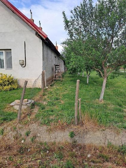vand casa renovata cu gradina mare in comuna Bethausen - 3