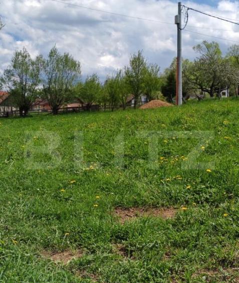 Teren intravilan, 1865 mp, de vanzare in Moieciu - Brasov - 7