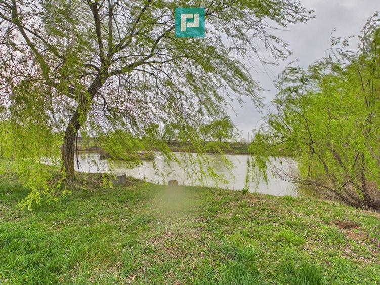 Teren 1 ha cu baltă populată – Alioș (Mașloc) - 8