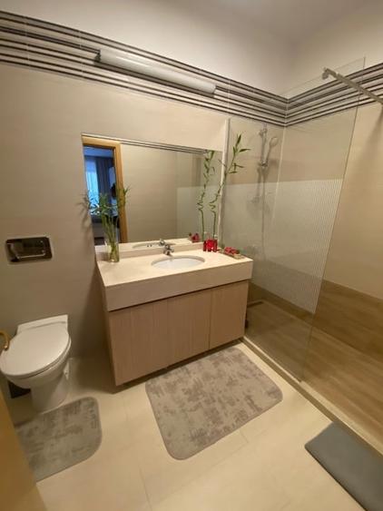 Apartament Herastrau - 9