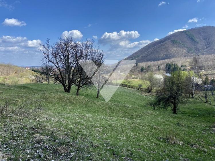 Teren Extravilan de 6630 mp - Cisnadioara - 6