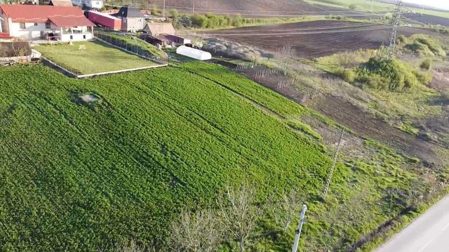 Vand teren intravilan in Tarnaveni langa Knauf - 3