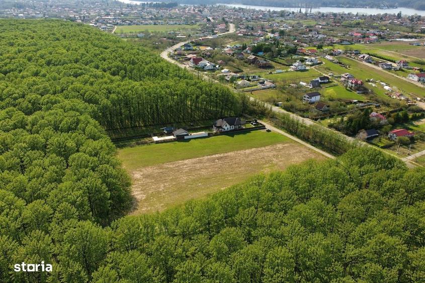 EXCLUSIVITATE-PROIECT IN PADUREA SNAGOV! Loturi teren, PUZ rezidential - 4