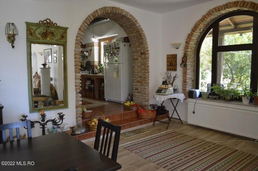 Topoloveni - Conacul Ion Mihalache, Domeniu pe 5 Hectare! - 20