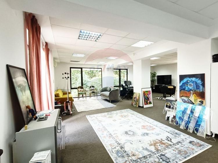 Vanzare Spatiu Comercial / Birou, Str. Popa Tatu -Cismigiu, Investitie - 1