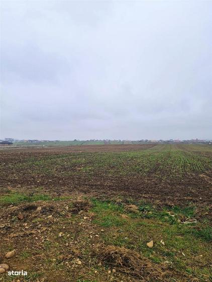 Teren Grigorescu 2 - 1