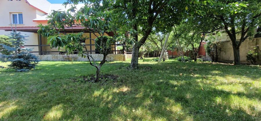 Agigea , zona Pod, ideala pentru gradinita sau azil batrani. - 24